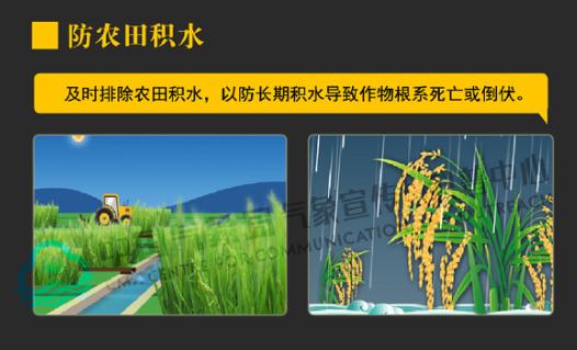 强对流黄色预警!28日傍晚至30日江苏将有强降雨和强对流天气! 强对流黄色预警!28日傍晚至30日江苏将有强降雨和强对流天气!