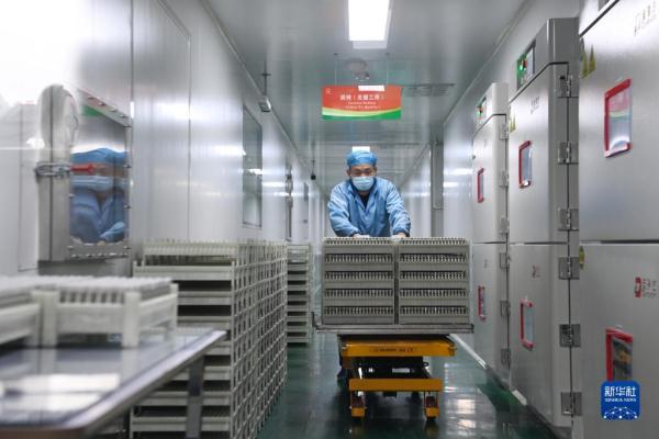 甘肃金昌:新能源和新能源电池产业集群快速发展 甘肃金昌:新能源和新能源电池产业集群快速发展