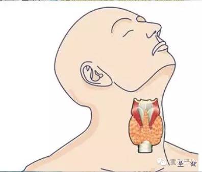 甲状腺自检方法图片