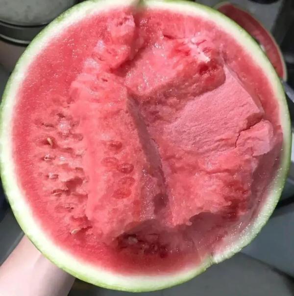 验瓜师，每天拍瓜上万个！
