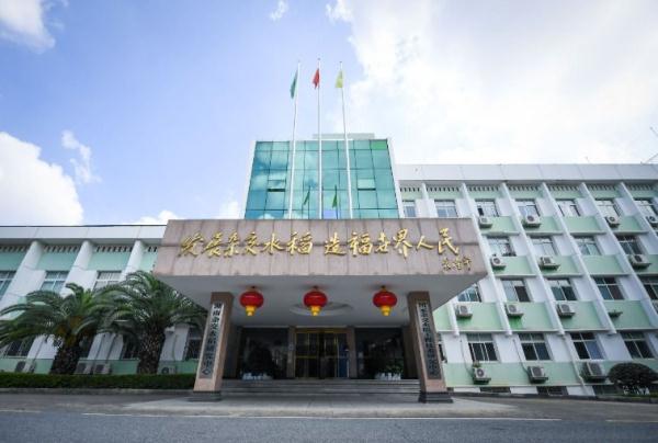 镜头连中外 | 一粒稻种 跨越万里共收获 镜头连中外 | 一粒稻种 跨越万里共收获