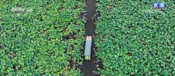 喀斯特地貌风光如诗如画 绿色发展理念打造秀美景色