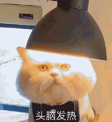 突然高烧,喉咙“长泡泡”......这种病近期高发,防护要点看这里! 突然高烧,喉咙“长泡泡”......这种病近期高发,防护要点看这里!