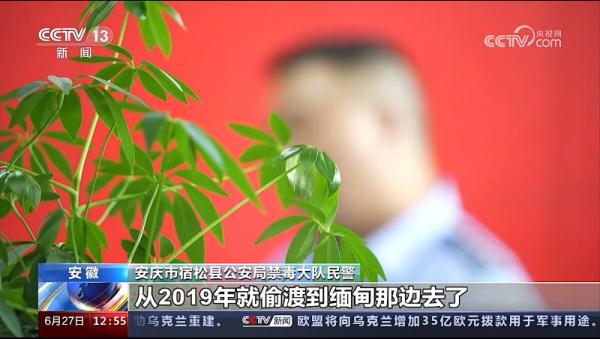 安徽一地破获特大走私、贩毒案