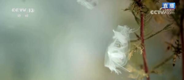 喀斯特地貌风光如诗如画 绿色发展理念打造秀美景色