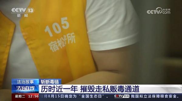 安徽一地破获特大走私、贩毒案