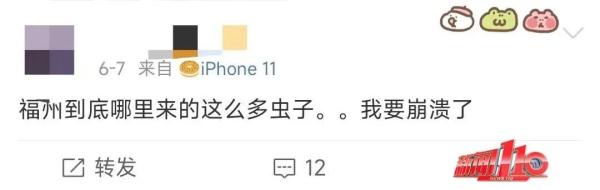 近期高发!出门一圈全身出现几十处!福州已有人因此“白肺”…… 近期高发!出门一圈全身出现几十处!福州已有人因此“白肺”……