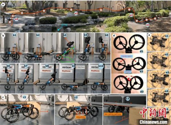 最新受动物启发研发的变形机器人 能通过不同运动模式探索周围环境