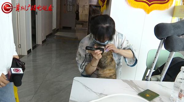 女子送猫就医，结果却不满意！负责人：你签了弃养协议