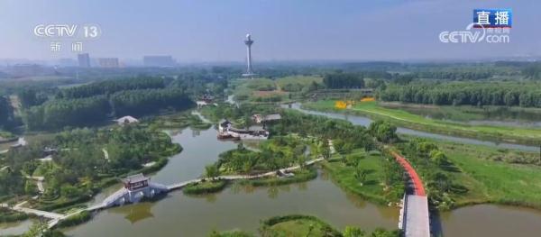 一顷碧波添锦绣 生态修复焕新颜