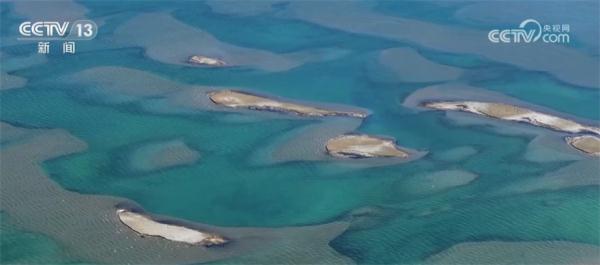 记者探寻鱼鸥繁殖地 数量稳中有增 适应能力强