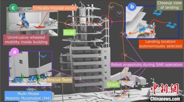 最新受动物启发研发的变形机器人 能通过不同运动模式探索周围环境