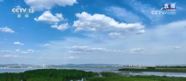 一顷碧波添锦绣 生态修复焕新颜