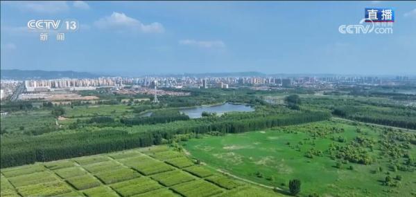 一顷碧波添锦绣 生态修复焕新颜