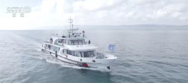 记者探寻鱼鸥繁殖地 数量稳中有增 适应能力强