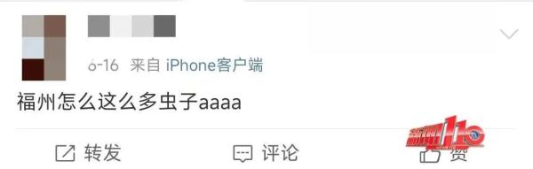 近期高发!出门一圈全身出现几十处!福州已有人因此“白肺”…… 近期高发!出门一圈全身出现几十处!福州已有人因此“白肺”……