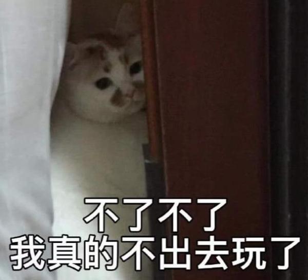 突然高烧,喉咙“长泡泡”......这种病近期高发,防护要点看这里! 突然高烧,喉咙“长泡泡”......这种病近期高发,防护要点看这里!