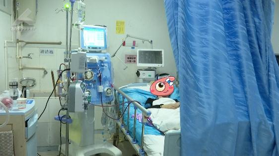 紧急跨省转运抢救！贵州6人吃菌中毒，4人急送昆明抢救……