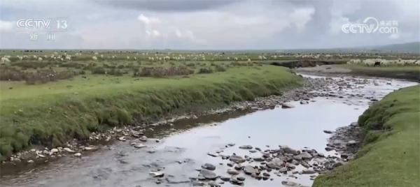 一条小河里的湟鱼洄游路 背后是人们一次次的关心和守护