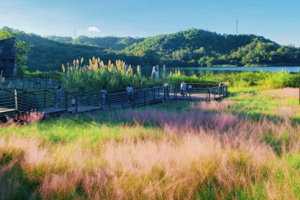 广东一地惊现珍稀萌宠! 广东一地惊现珍稀萌宠!