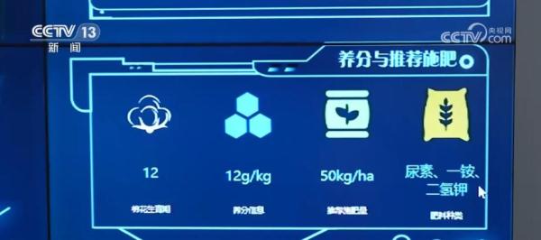 “天空地一体化观测体系”投用 助力棉花生长关键期高效田管