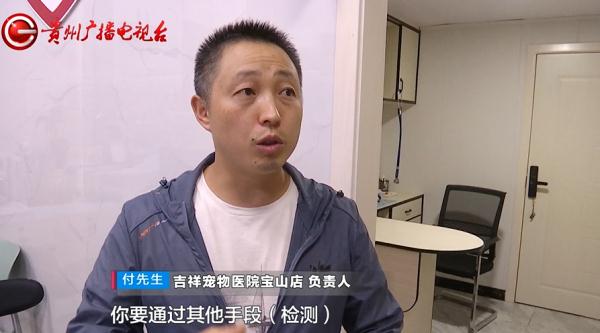 女子送猫就医，结果却不满意！负责人：你签了弃养协议