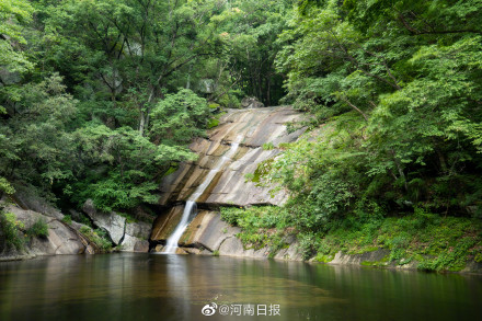 十年间宝天曼动物增加83种植物增加310种