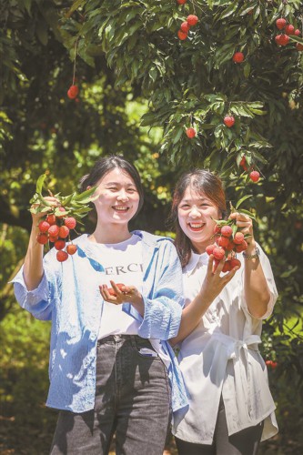 已上市销售超过3万吨,广州荔枝季来啦!