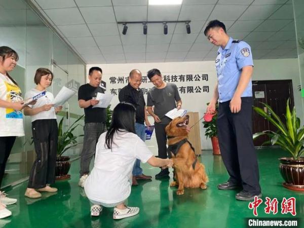 流浪金毛变身“反诈汪汪队”队长 民警:出任务都要抢“档期 ” 流浪金毛变身“反诈汪汪队”队长 民警:出任务都要抢“档期 ”