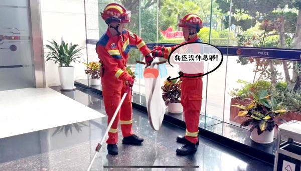 119吗？公安局进了条大毒蛇！