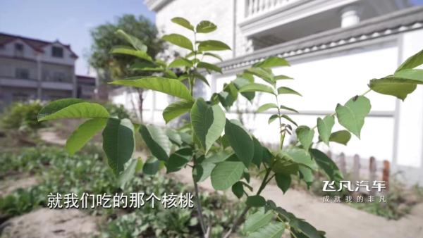 沪一女子痴迷中药，竟到这个地步！但...看过的都点赞了→