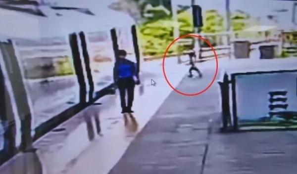 惊心一幕！列车车门即将关闭时 5岁男童突然跑出车厢