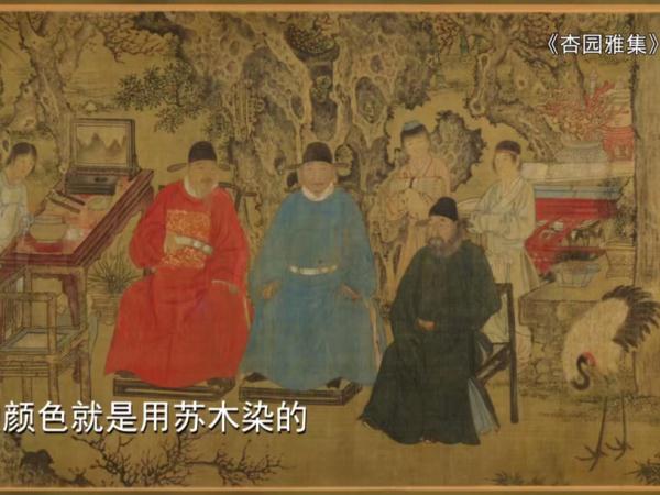 沪一女子痴迷中药，竟到这个地步！但...看过的都点赞了→