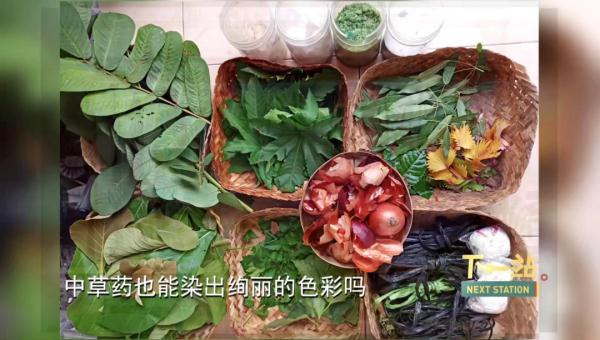 沪一女子痴迷中药，竟到这个地步！但...看过的都点赞了→