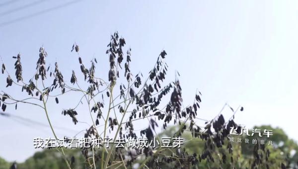 沪一女子痴迷中药，竟到这个地步！但...看过的都点赞了→