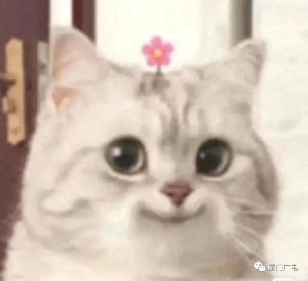 高温高湿！厦门“桑拿天”持续！周末出行要注意……