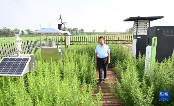 种粮大户徐淙祥：五十载耕耘与收获