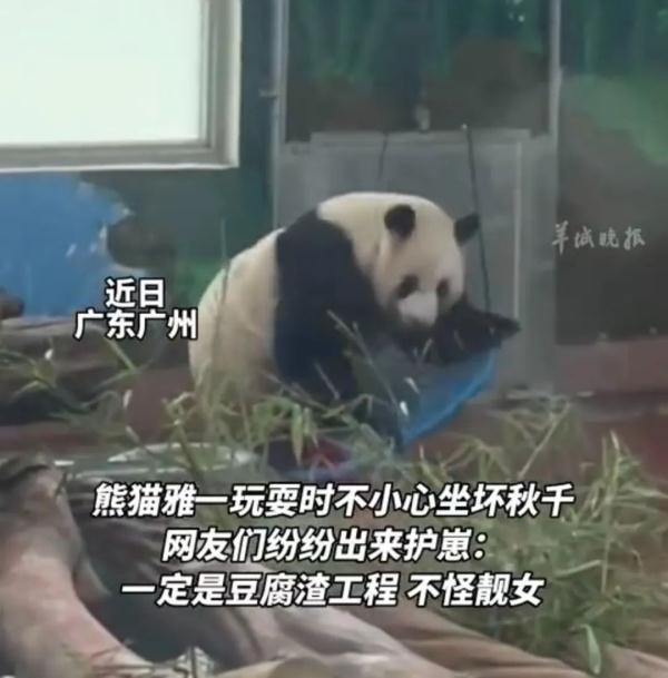 “雅一”VS“萌兰”的秋千糗事