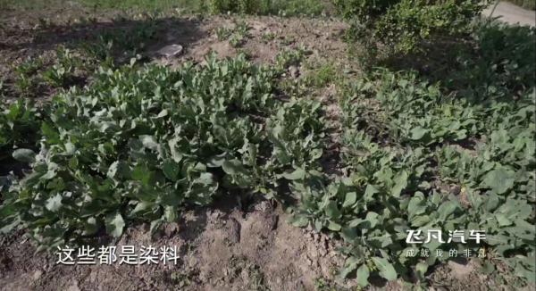 沪一女子痴迷中药，竟到这个地步！但...看过的都点赞了→