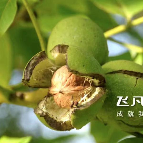 沪一女子痴迷中药，竟到这个地步！但...看过的都点赞了→