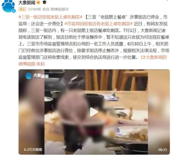 三亚“老鼠爬上餐桌”涉事饭店已停业，市监局：还会进一步查处
