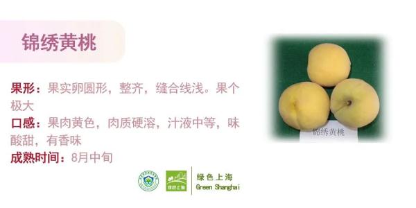 桃子怎么挑选？上海发布官方攻略→