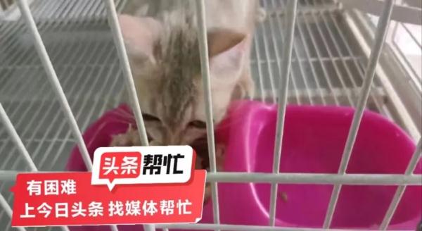 00后女租客拖欠房费退租，长沙女房东进门差点吐了！还发现了......