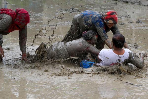 尼泊尔：庆祝水稻日