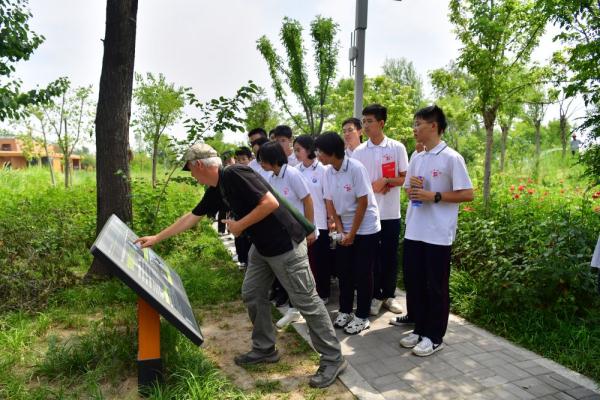 国际鸟类专家授课衡水湖 盛赞华北湿地生态治理