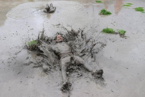 尼泊尔：庆祝水稻日