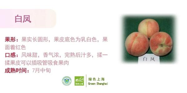 桃子怎么挑选？上海发布官方攻略→