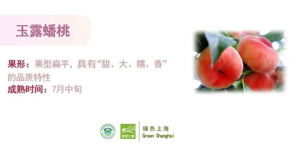 桃子怎么挑选？上海发布官方攻略→