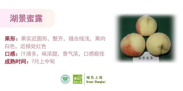 桃子怎么挑选？上海发布官方攻略→