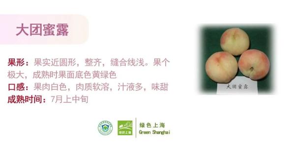 桃子怎么挑选？上海发布官方攻略→